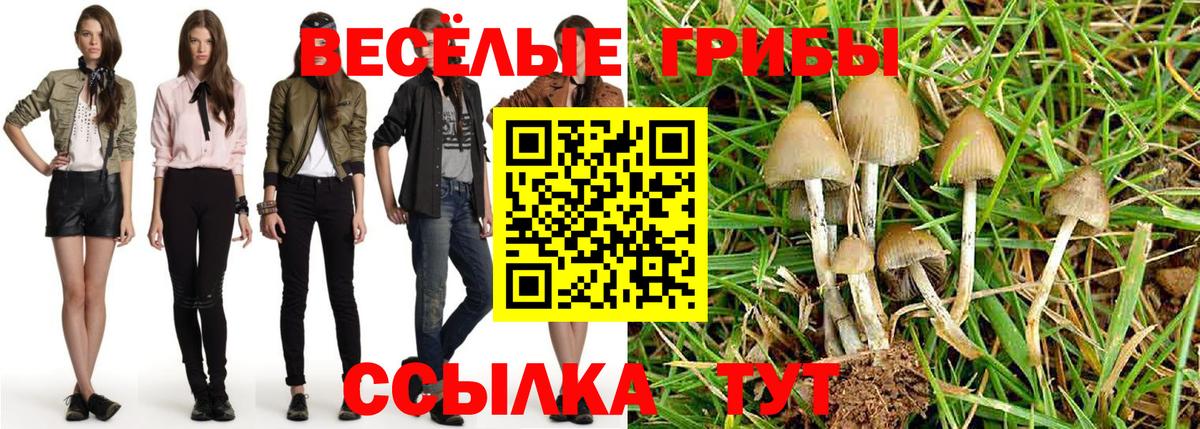 Псилоцибиновые грибы прущие грибы  Вход с VPN  Ивантеевка 