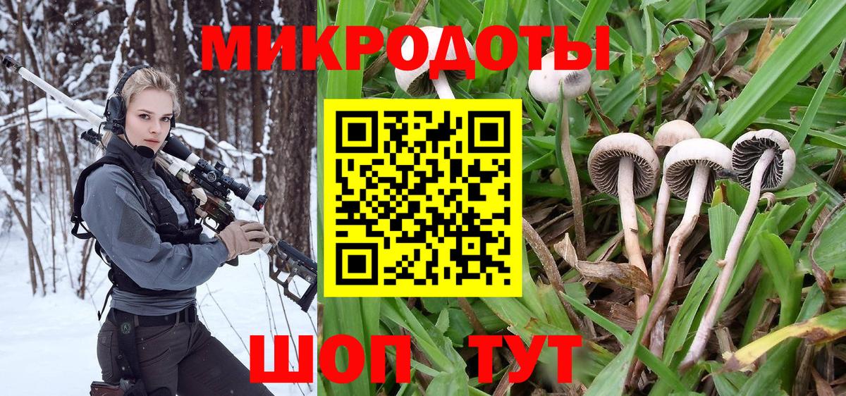 Псилоцибиновые грибы ЛСД Ивантеевка